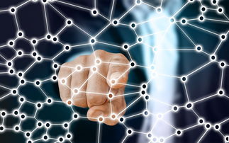 乐鱼体育app官网-中国足球青训梯队人员年龄层结构，足球青训年龄段