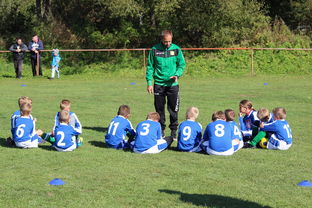 乐鱼体育-德甲球队构建战术模拟平台提升临场应变能力，德甲模式