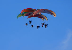 乐鱼体育在线官网-英超球队结合疲劳评分系统动态分配替补上场时机，英超伤病报告_球员受伤成本逐年攀升